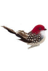 Kurt Adler Bird Clip-On Ornament With Brown Tail Feathers