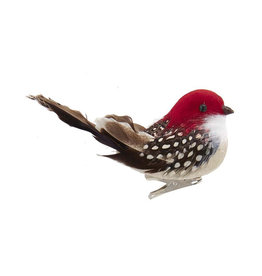 Kurt Adler Bird Clip-On Ornament With Brown Tail Feathers