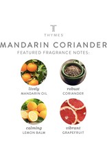 Mandarin Coriander Candles Glass Jar Statement Candle 16 Oz