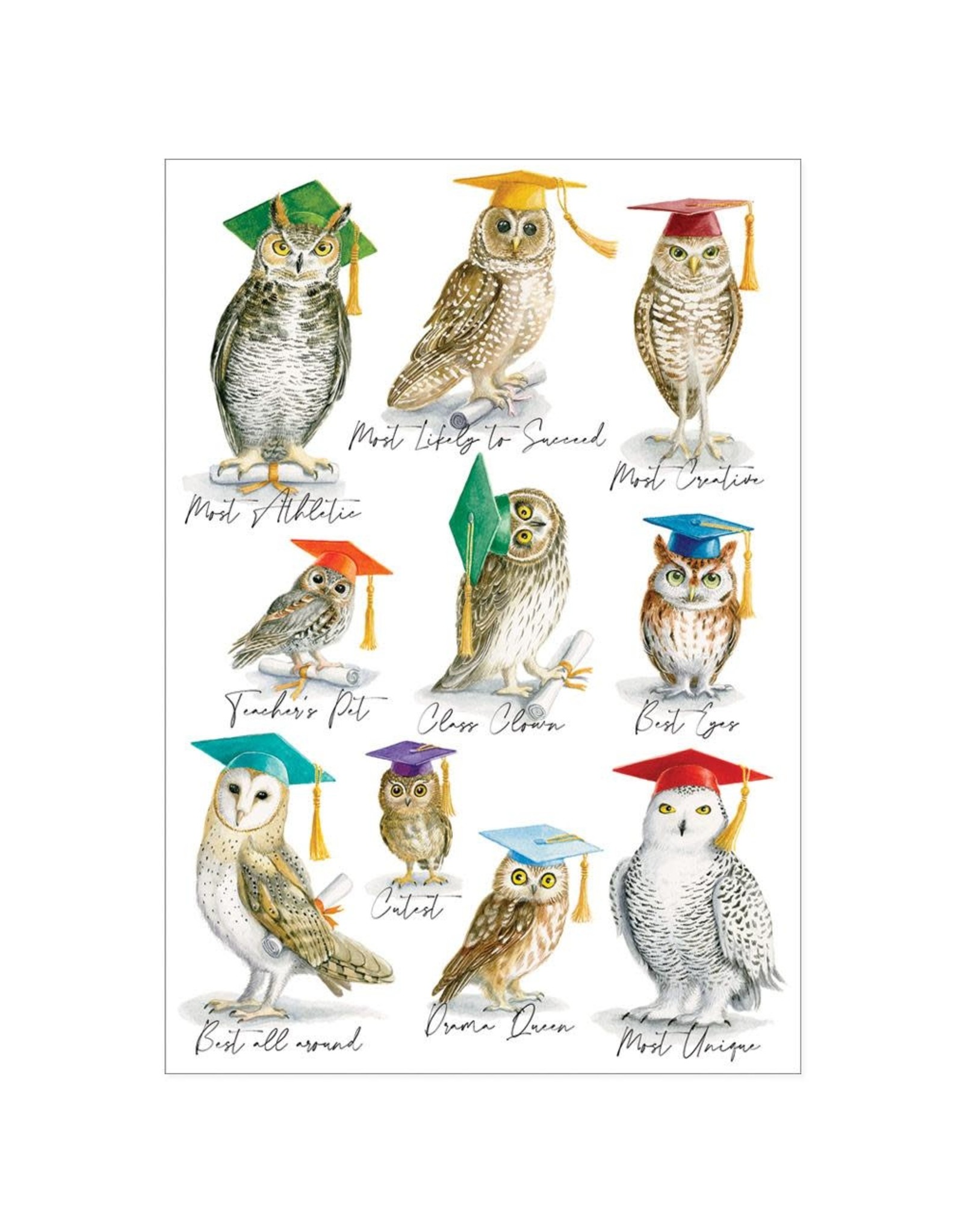 Caspari Graduation Cards Owls Graduation Card