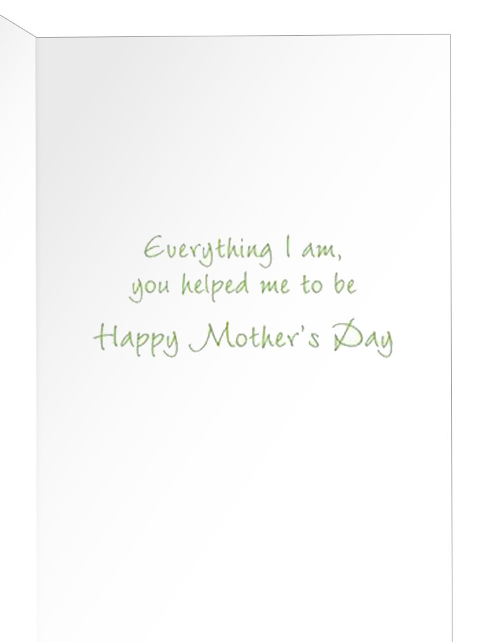 Caspari Mothers Day Cards Flower Pots Mother's Day Card