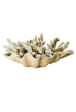 Regina Andrew Design Finger Coral Decor 5 Piece Set Assorted Sizes