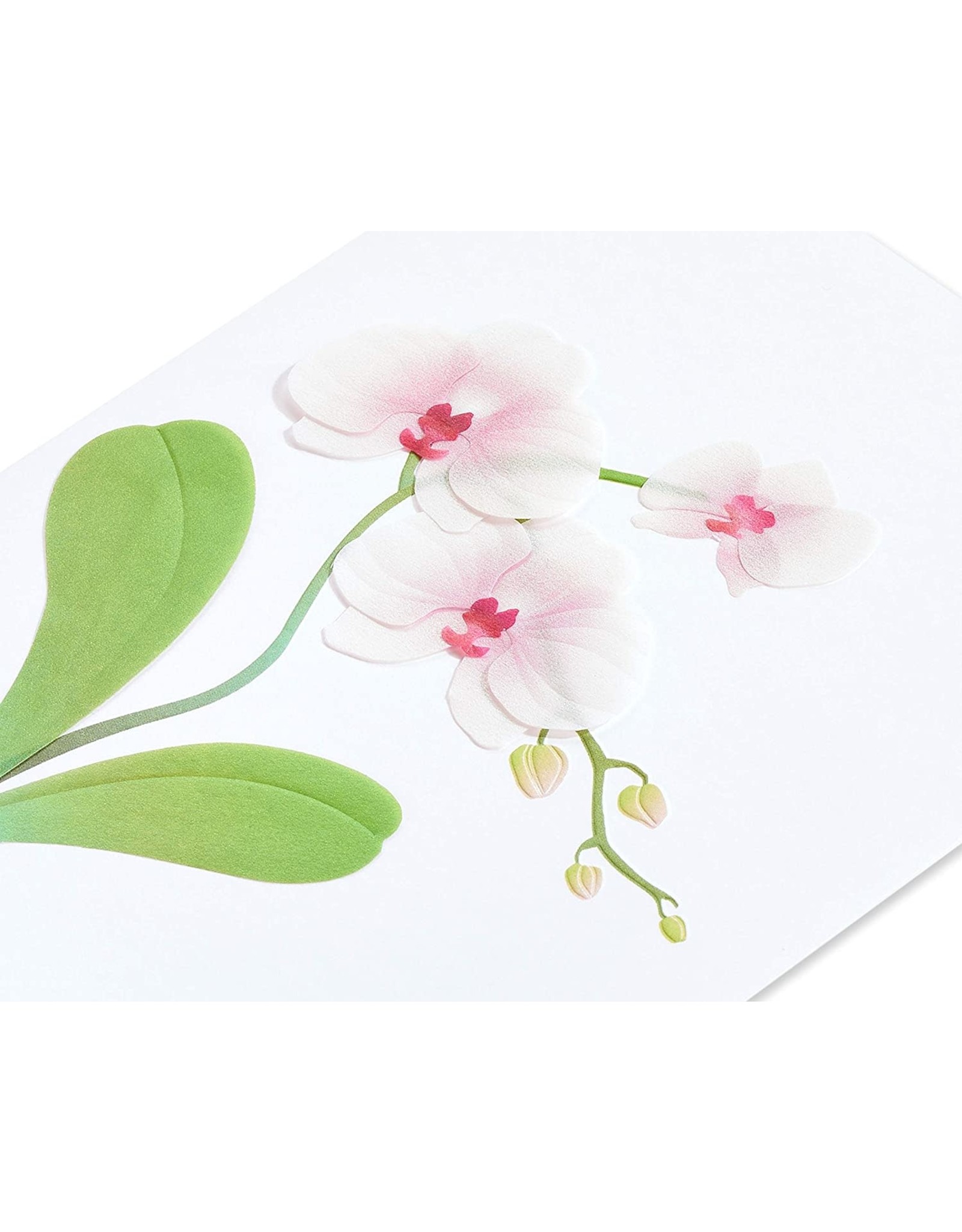 PAPYRUS® Blank Cards Orchid Blank Note Card