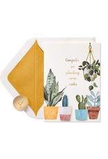 PAPYRUS® Congratulations Card For New Home - House Plants