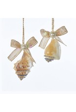 Kurt Adler Seashells With Gems Pearl And Ribbon Bow Ornament 2 Assorted