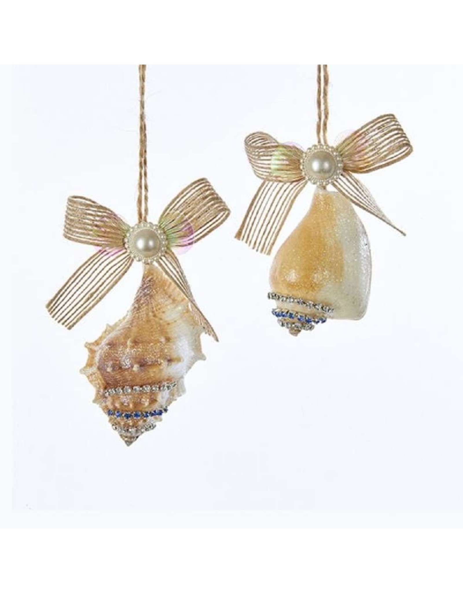 Kurt Adler Seashells With Gems Pearl And Ribbon Bow Ornament 2 Assorted