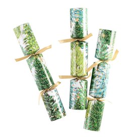 Caspari Celebration Crackers 6pk Christmas Trees With Lights