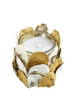 Mud Pie Oyster Shell Candle With Gold Accents