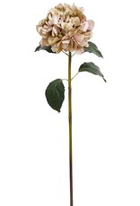 Mark Roberts Home Decor Florals Hydrangea Stem 35 Inch GPK