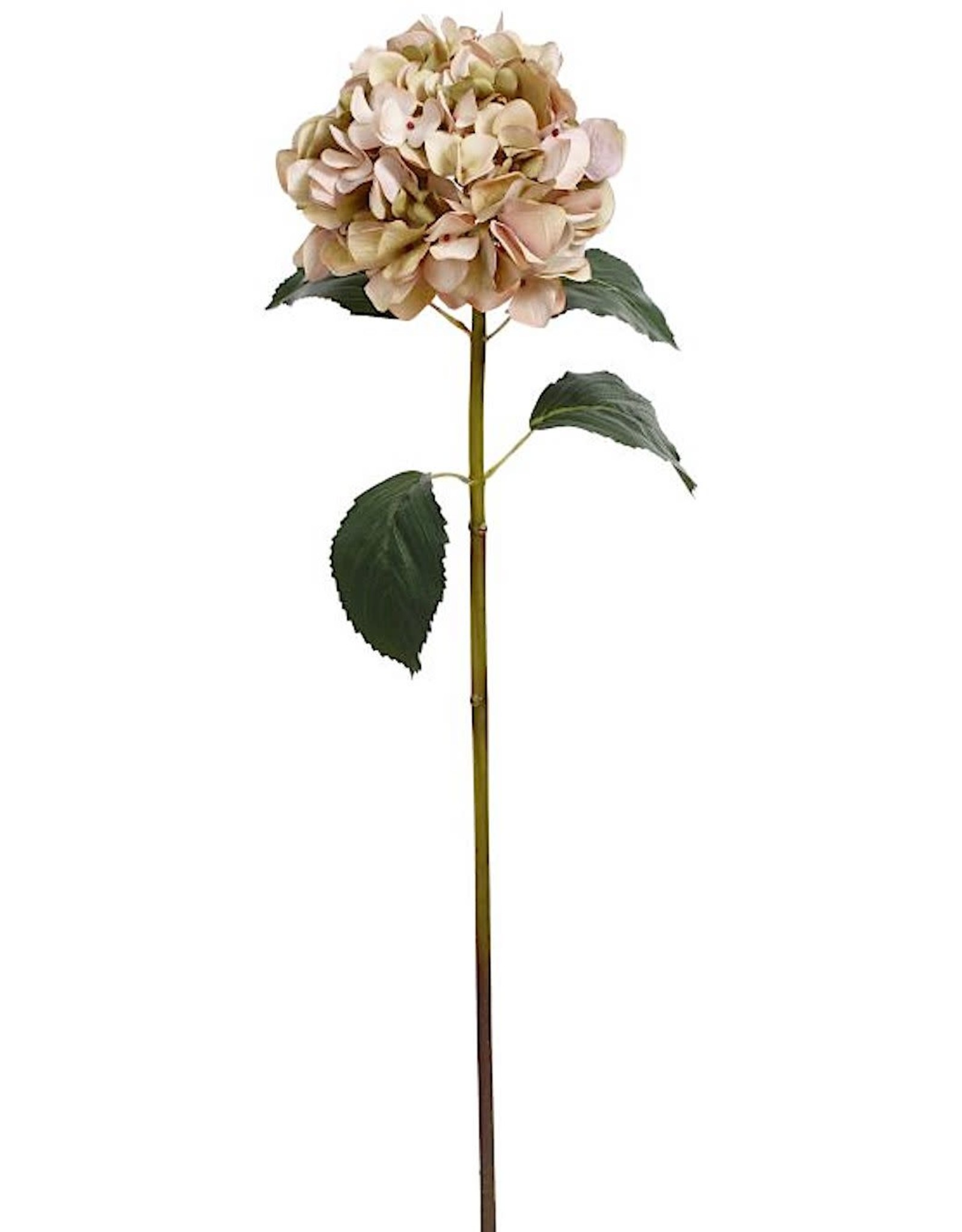 Mark Roberts Home Decor Florals Hydrangea Stem 35 Inch GPK