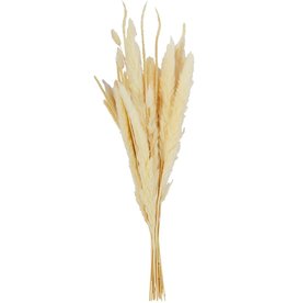 Mud Pie Mixed Preserved Pampas Grass Bouquet 24 Inch Floral Decor