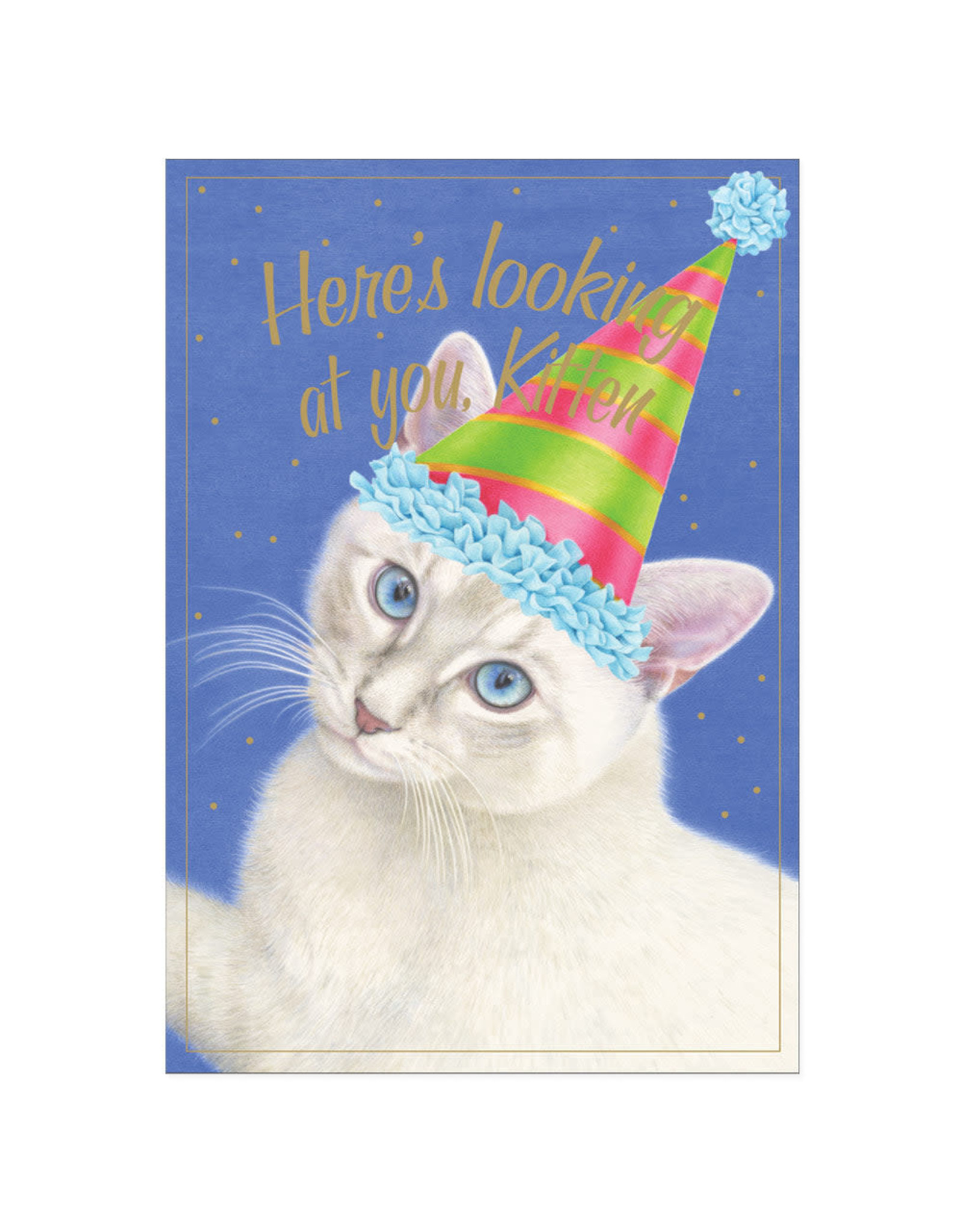 Caspari Birthday Card Here's Looking At You Kitten