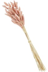 Mud Pie Pink Bunny Tail Stalks Bundle 17 Inch Floral Decor