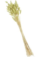 Mud Pie Green Bunny Tail Stalks Bundle 17 Inch Floral Decor