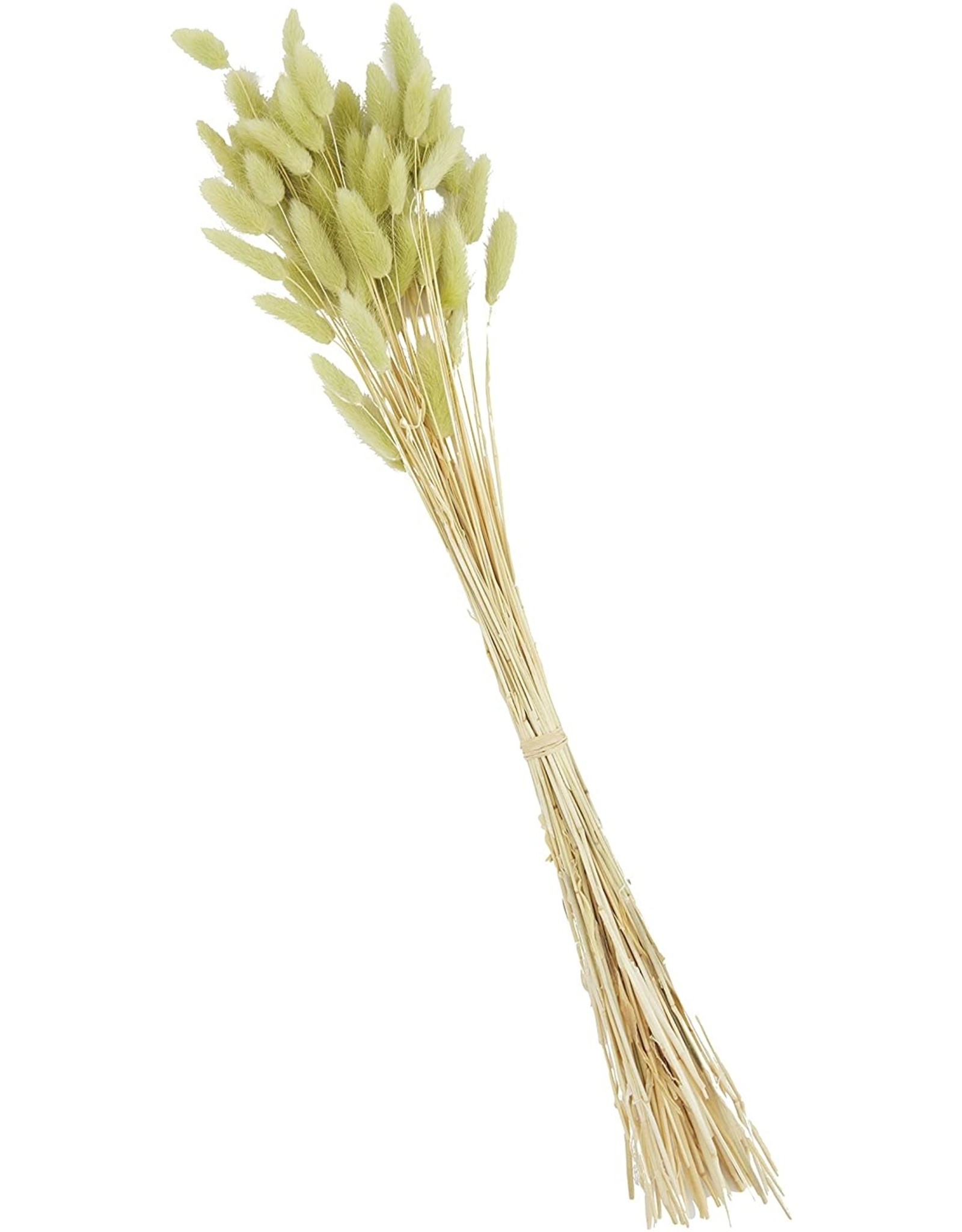 Mud Pie Green Bunny Tail Stalks Bundle 17 Inch Floral Decor