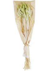Mud Pie Green Bunny Tail Stalks Bundle 17 Inch Floral Decor