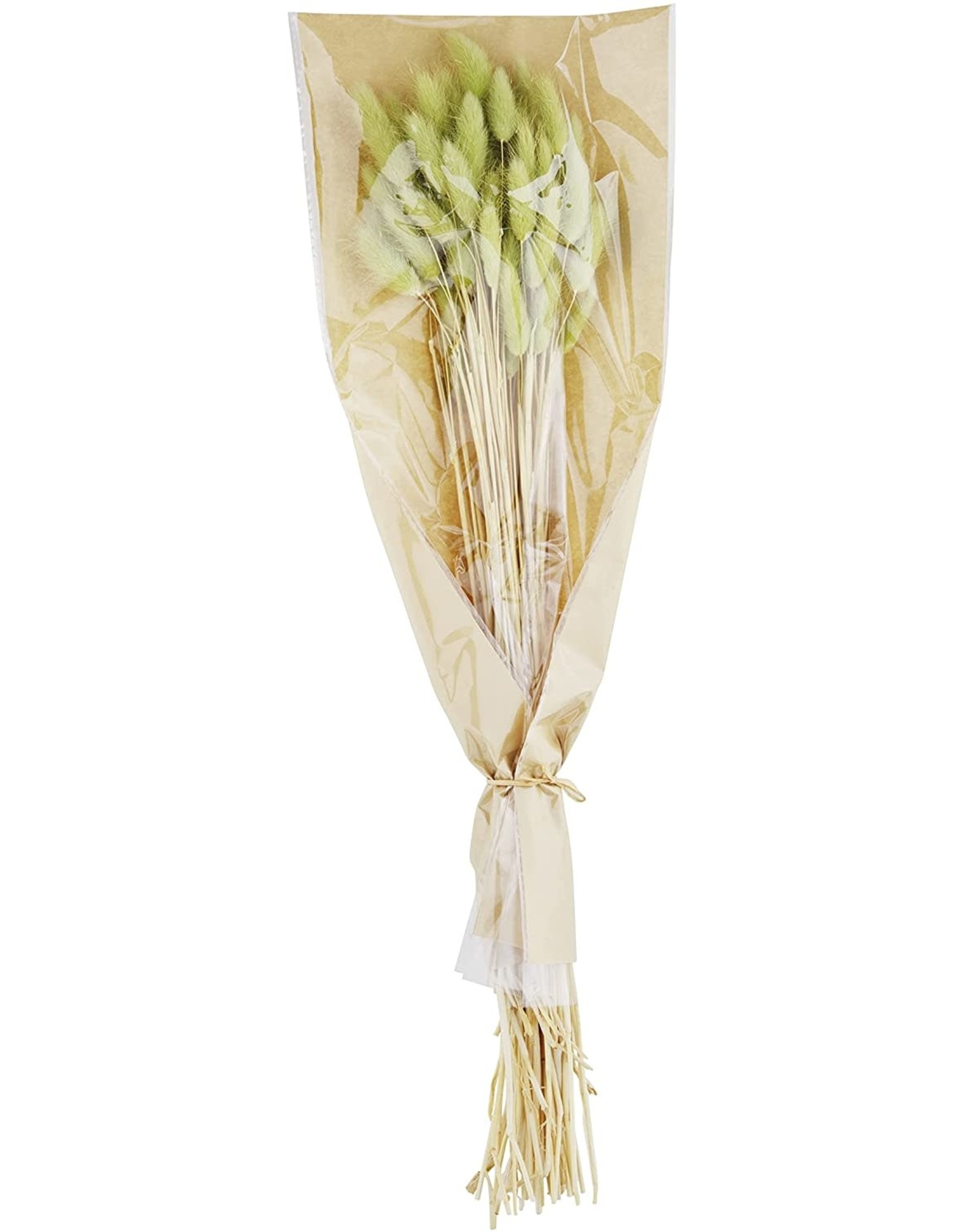 Mud Pie Green Bunny Tail Stalks Bundle 17 Inch Floral Decor