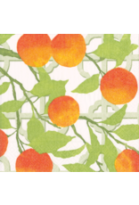 Caspari Paper Cocktail Napkins 20 ct  Orange Grove