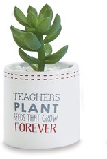 Mud Pie Teacher Gifts Succulent Teachers Plant Seeds That Grow Forever