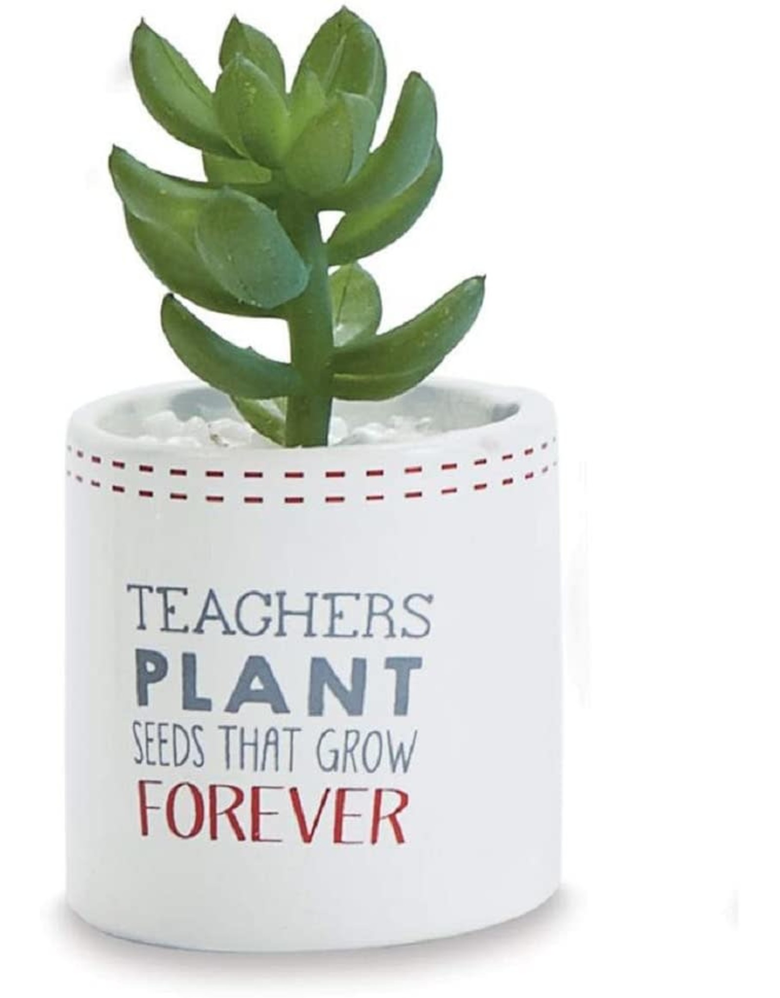 Mud Pie Teacher Gifts Succulent Teachers Plant Seeds That Grow Forever