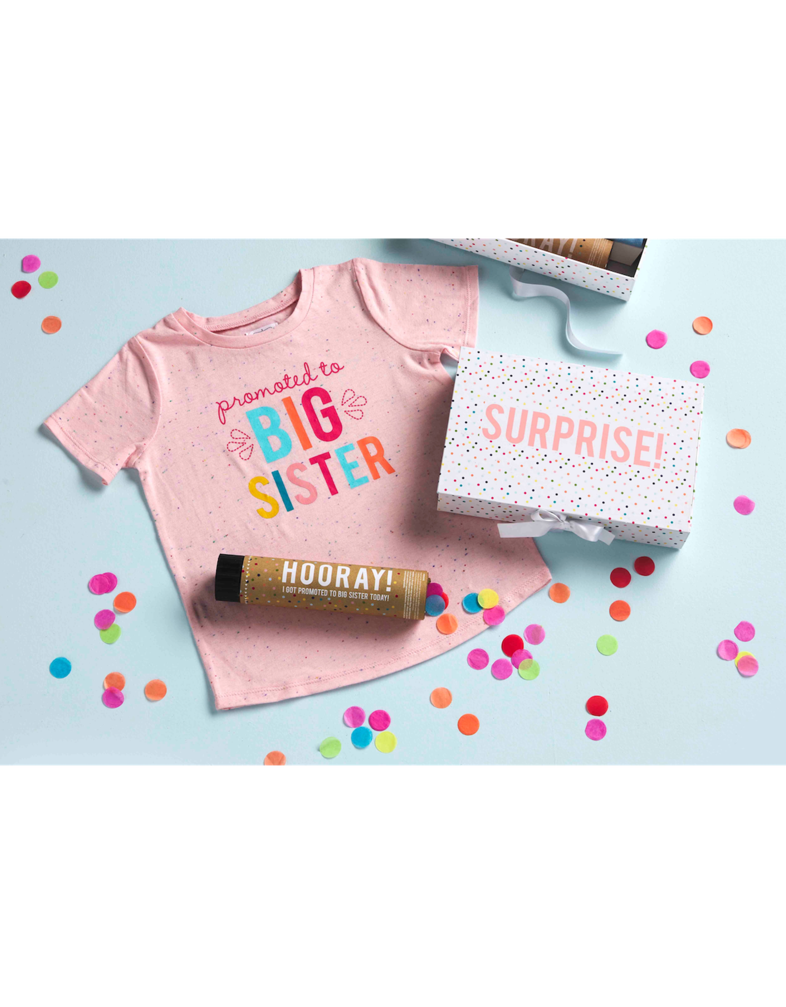 Mud Pie Promoted To Big Sister Shirt Gift Set