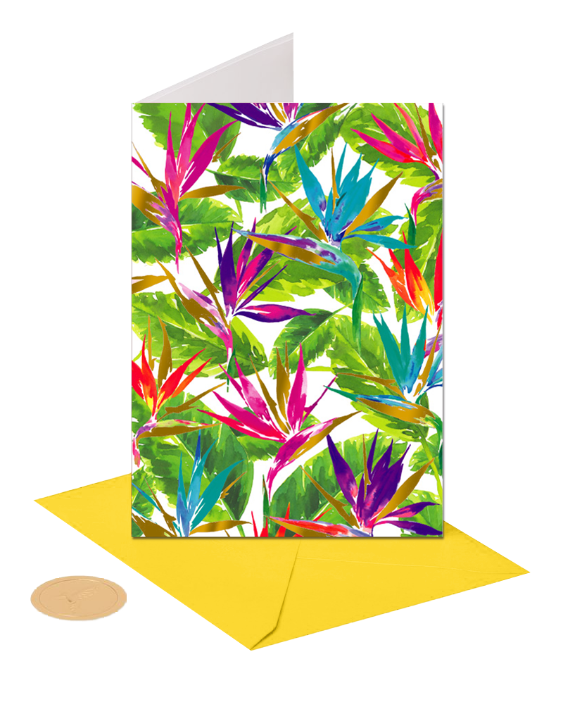 Papyrus Blank Note Card Bird Of Paradise Digs N Gifts