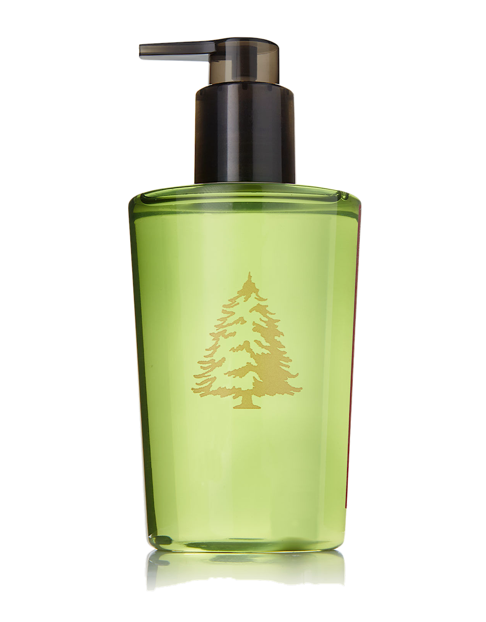 Frasier Fir Hand Wash Pump 8.25 Ounce