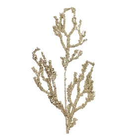 David Christophers Beaded Coral Stem Champagne  30"