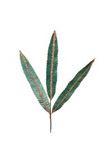 David Christophers Sequin Stripe Velvet Feather Leaf Spray AQ
