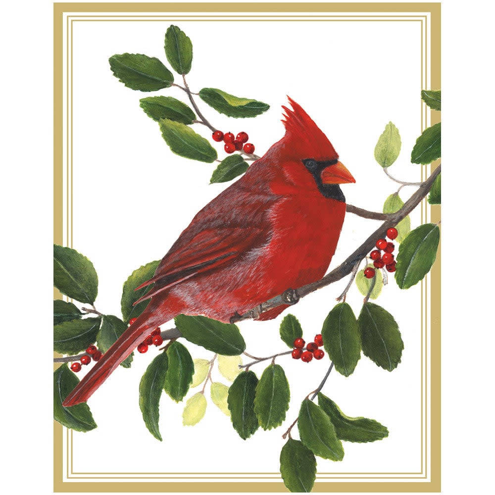 Caspari Boxed Christmas Cards 16pk Cardinal And Holly Digs N Gifts