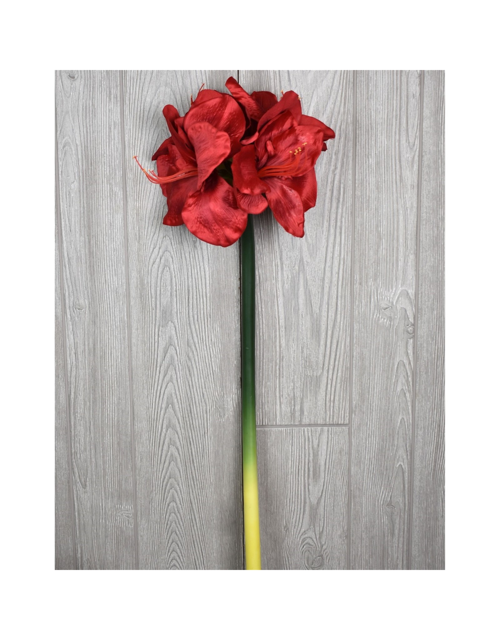 David Christophers Amaryllis Spray in Red 27"