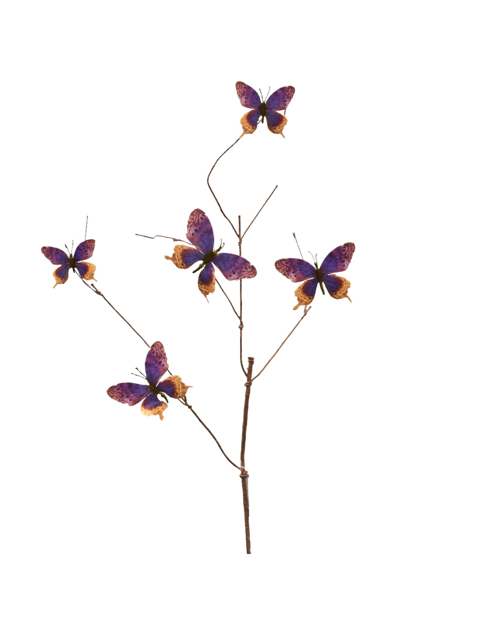 David Christophers Vibrant Wired Butterfly Spray 37" in Plum
