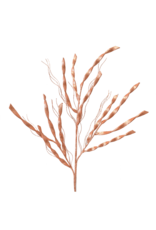 David Christophers Luscious Glittered Seagrass Spray 35" | Coral
