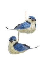 Kurt Adler Blue Jay Bird Ornaments 2 Assorted 5 Inch