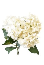 David Christophers Garden Hydrangea Bush 18" In Linen