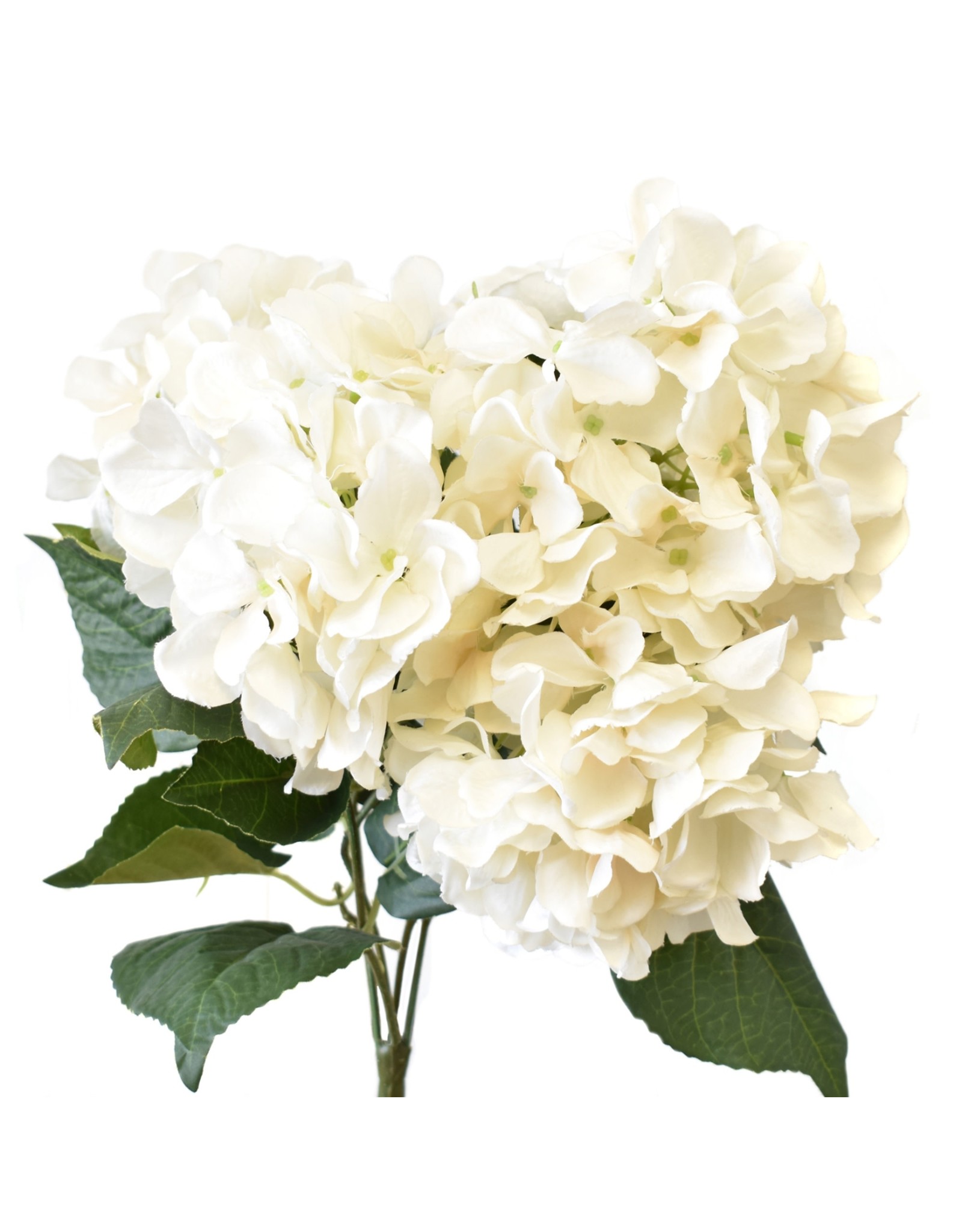 David Christophers Garden Hydrangea Bush 18" In Linen