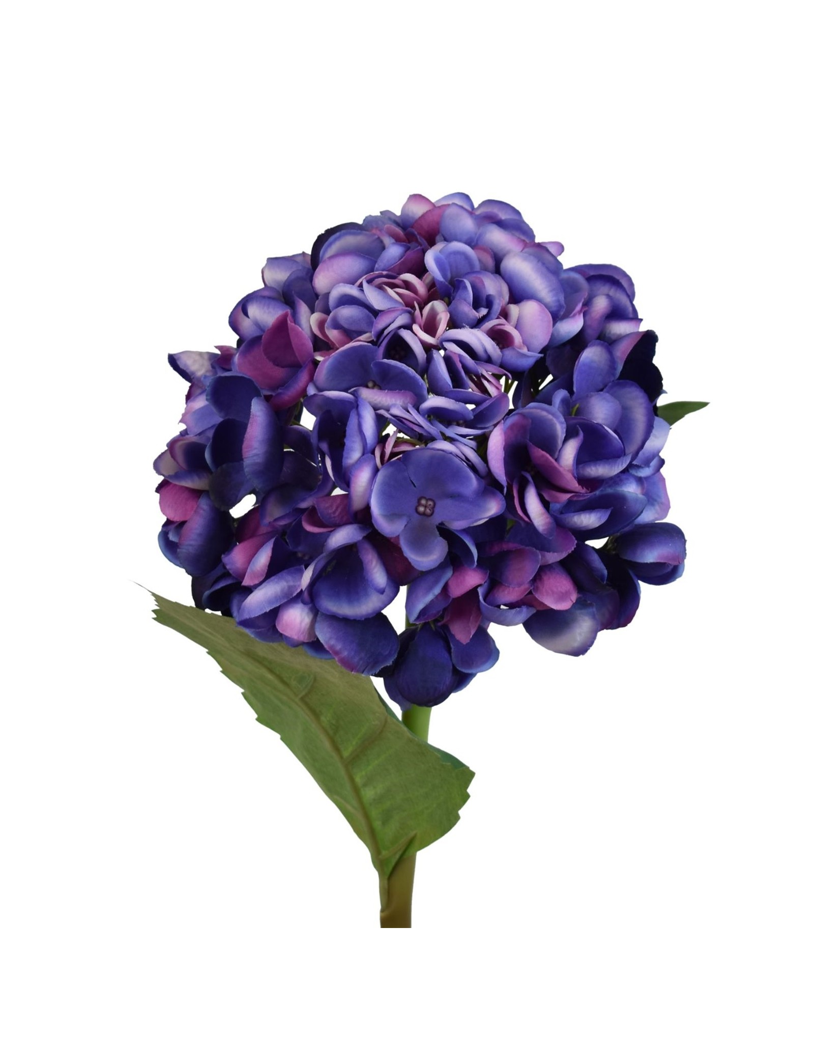 David Christophers Popcorn Hydrangea Stem 20" In Purple