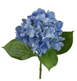 David Christophers Freshly Bloomed Hydrangea Stem 26" In Blue