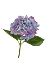 David Christophers Freshly Bloomed Hydrangea Stem 26" In Blue Purple