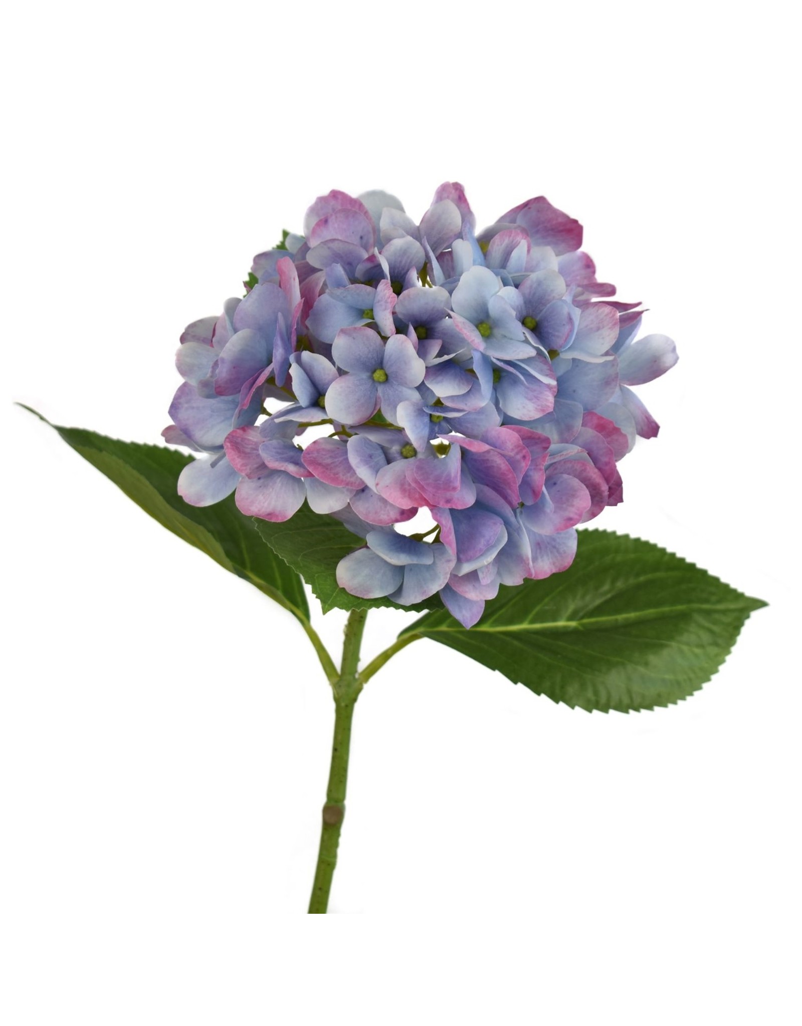 David Christophers Freshly Bloomed Hydrangea Stem 26" In Blue Purple