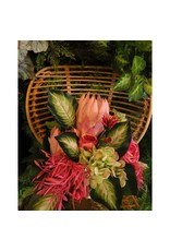 David Christophers Freshly Bloomed Hydrangea Stem 26" In Green Pink