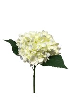David Christophers Hydrangea Pick 13 Dia x 6H" In Cream White