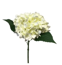 David Christophers Hydrangea Pick 13 Dia x 6H" In Cream White