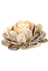 Mud Pie Oyster Shell Votive Candle Holder