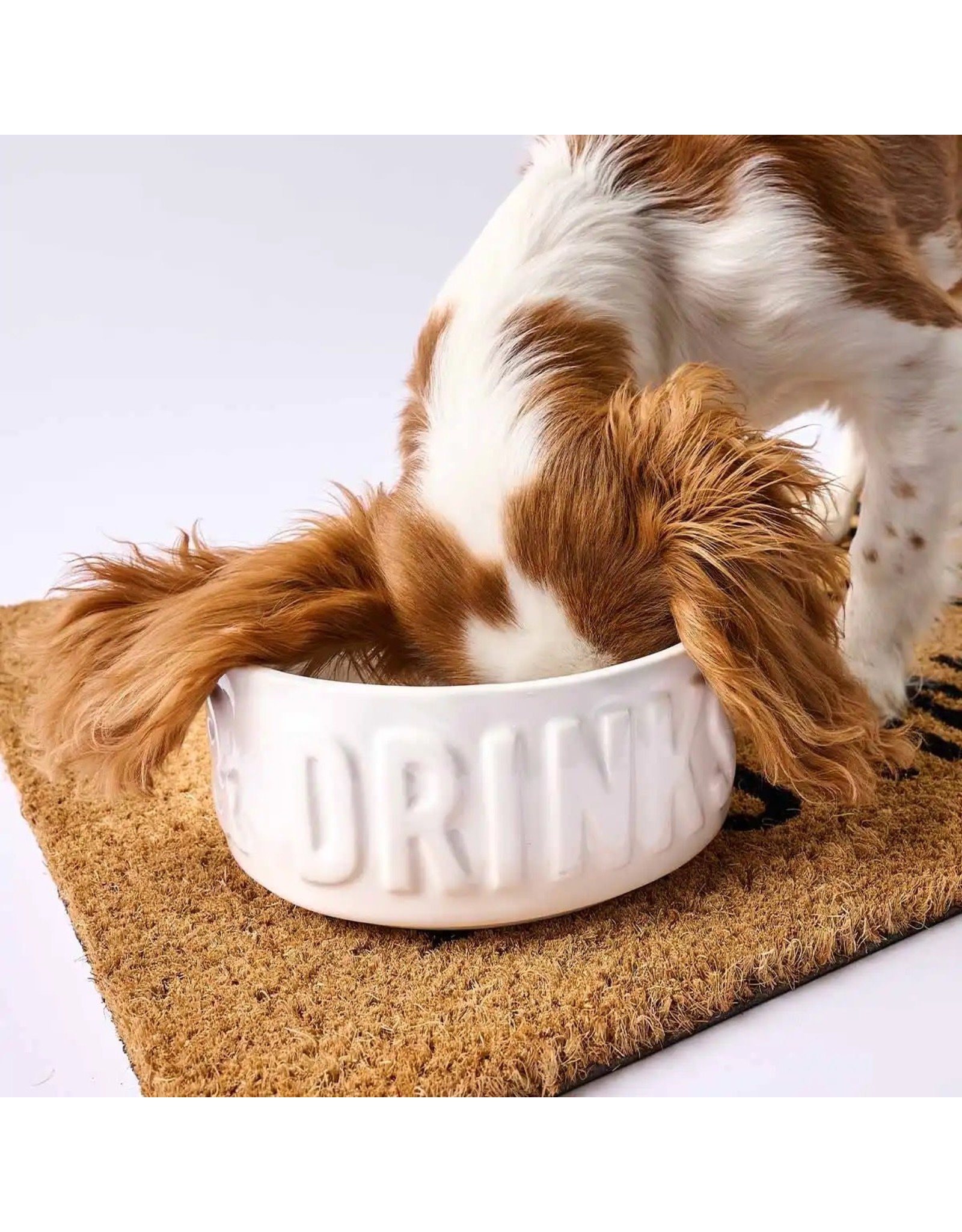 Mud Pie Stacked Dog Bowls Set Dinner And Drinks Bowls