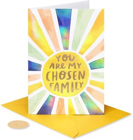 PAPYRUS® Friendship Card You Are My Chosen Family