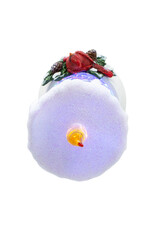 Kurt Adler Snow Globe Water Lanterns LED Cardinal Candle B/O