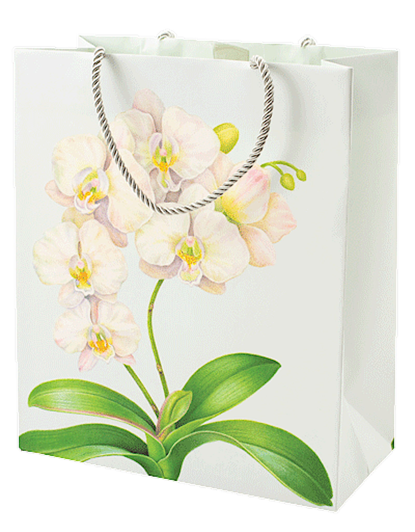 Caspari Gift Bag Lg 11.75x4.75x10 White Orchid