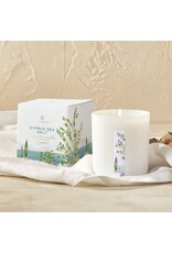 Cyprus Sea Salt Poured Candle In Glass Jar 8 Oz