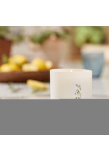 Cyprus Sea Salt Poured Candle In Glass Jar 8 Oz